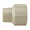 Apollo Apollo Schedule 40 1/2 in. Slip in to X 1/2 in. D FNPT CPVC Female Adapter 1 pk CPVCFA12W - alternate 1